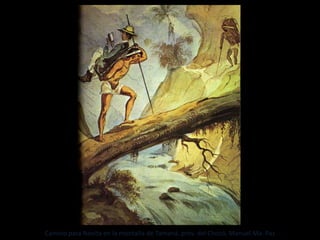 LA EXPEDICIÓN BOTÁNICA