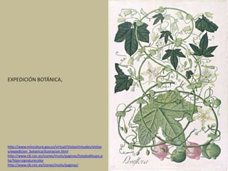 1. tr. Examinar con cuidado algo o a alguien para enterarse de su identidad, naturaleza y circunstancias.