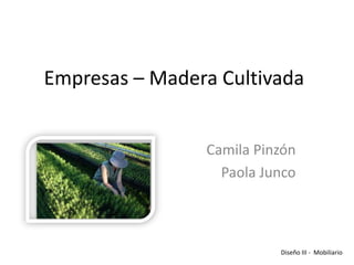 Empresas – Madera Cultivada


                Camila Pinzón
                  Paola Junco



                          Diseño III - Mobiliario
 