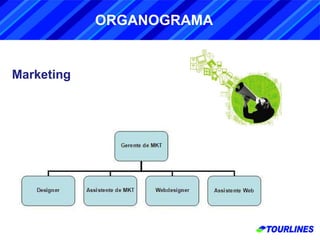 Marketing ORGANOGRAMA 