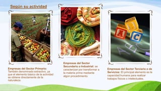 Empresas del Sector Primario:
También denominado extractivo, ya
que el elemento básico de la actividad
se obtiene directamente de la
naturaleza.
Empresas del Sector
Secundario o Industrial: se
caracterizan por transformar a
la materia prima mediante
algún procedimiento.
Empresas del Sector Terciario o de
Servicios: El principal elemento es la
capacidad humana para realizar
trabajos físicos o intelectuales.
Según su actividad
 