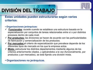 Estas unidades pueden estructurarse según varios 
criterios: 
• Organizaciones jerárquicas: 
 Funcionales: sucede cuando se establece una estructura basada en la 
especialización por conjuntos de tareas relacionadas entre sí o por distintos 
procesos dentro de cada nivel. 
 Por productos: las divisiones se hacen de acuerdo con las particularidades 
de fabricación y comercialización de los productos. 
 Por mercados:el criterio de especialización que prevalece depende de los 
diferentes tipos de mercado en los que la empresa actúa. 
 Mixto: estructurar los distintos departamentos mediante algunos de los 
criterios anteriormente citados, y aplicándolos a la vez (funcionalmente, por 
productos y por mercados), se está fijando una división mixta. 
• Organizaciones no jerárquicas. 
 