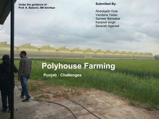 Polyhouse Farming
Punjab : Challenges
Under the guidance of :
Prof. K. Balooni, IIM Amritsar
Submitted By:
Abdulqadir Dula
Vandana Yadav
Sameer Bensekar
Karanvir singh
Saransh Agarwal
 