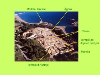 Àgora
Temple de
Júpiter Serapis
Muralla
Temple d’Asclepi
Cases
Moll hel·lenístic
 