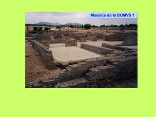 Mosaics de la DOMVS 1
 
