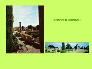 Peristilum de la DOMVS 1
 