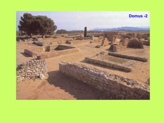 Domus -2
 