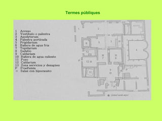 Termes públiques
 