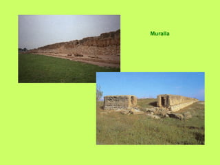 Muralla
 