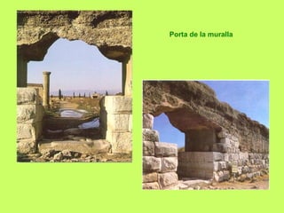 Porta de la muralla
 