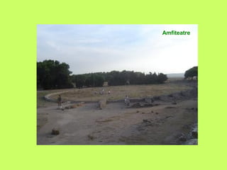 Amfiteatre
 