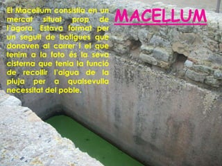 MACELLUM
El Macellum consistia en un
mercat situat prop de
l’àgora. Estava format per
un seguit de botigues que
donaven al carrer i el que
tenim a la foto és la seva
cisterna que tenia la funció
de recollir l’aigua de la
pluja per a qualsevulla
necessitat del poble.
 