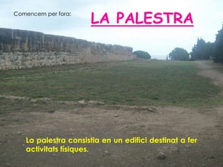 LA PALESTRA
Comencem per fora:




   La palestra consistia en un edifici destinat a fer
   activitats físiques.
 