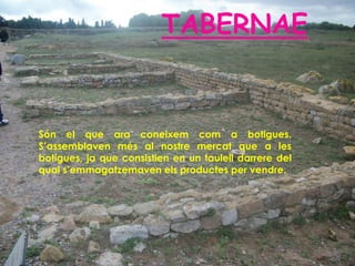 TABERNAE


Són el que ara coneixem com a botigues.
S’assemblaven més al nostre mercat que a les
botigues, ja que consistien en un taulell darrere del
qual s’emmagatzemaven els productes per vendre.
 