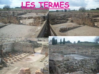 LES TERMES
 