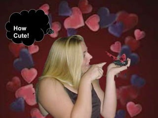 How
Cute!
 