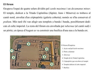 El fòrum
Ocupava l'espai de quatre solars dividits pel cardo maximus i un decumanus minor.
El temple, dedicat a la Tríada Capitolina (Júpiter, Juno i Minerva) es trobava al
cantó nord, envoltat d'un criptopòrtic (galeria coberta); només se n'ha conservat el
podium. Més tard s'hi van afegir uns templets a banda i banda, possiblement dedi-
cats al culte imperial. La resta del fòrum era envoltada per tabernae (al cantó sud) i
un pòrtic; en època d'August es va construir una basílica d'una nau a la banda est.




                        2
                                                         El fòrum d'Empúries

                                           4              1. Accés sud pel kardo maximus
       1                                                  2. Pòrtic columnat
                                                          3. Tabernae
           3                           6                  4. Temple de la Tríada Capitolina
                                                          5. Criptopòrtic que envoltava el temple
                        7                      5          6. Templet dedicat al culte imperial
                                                          7. Basílica
 