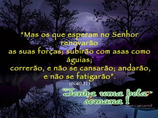 “ Mas os que esperam no Senhor renovarão as suas forças; subirão com asas como águias; correrão, e não se cansarão; andarão, e não se fatigarão” . (Is.40.31) 