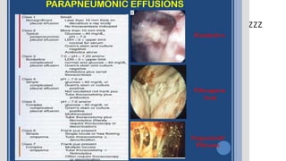 4ee444444444szzzzzzzzzzzzzzzzzzzzzzzzzzzzzzzzzzz
zzz
 