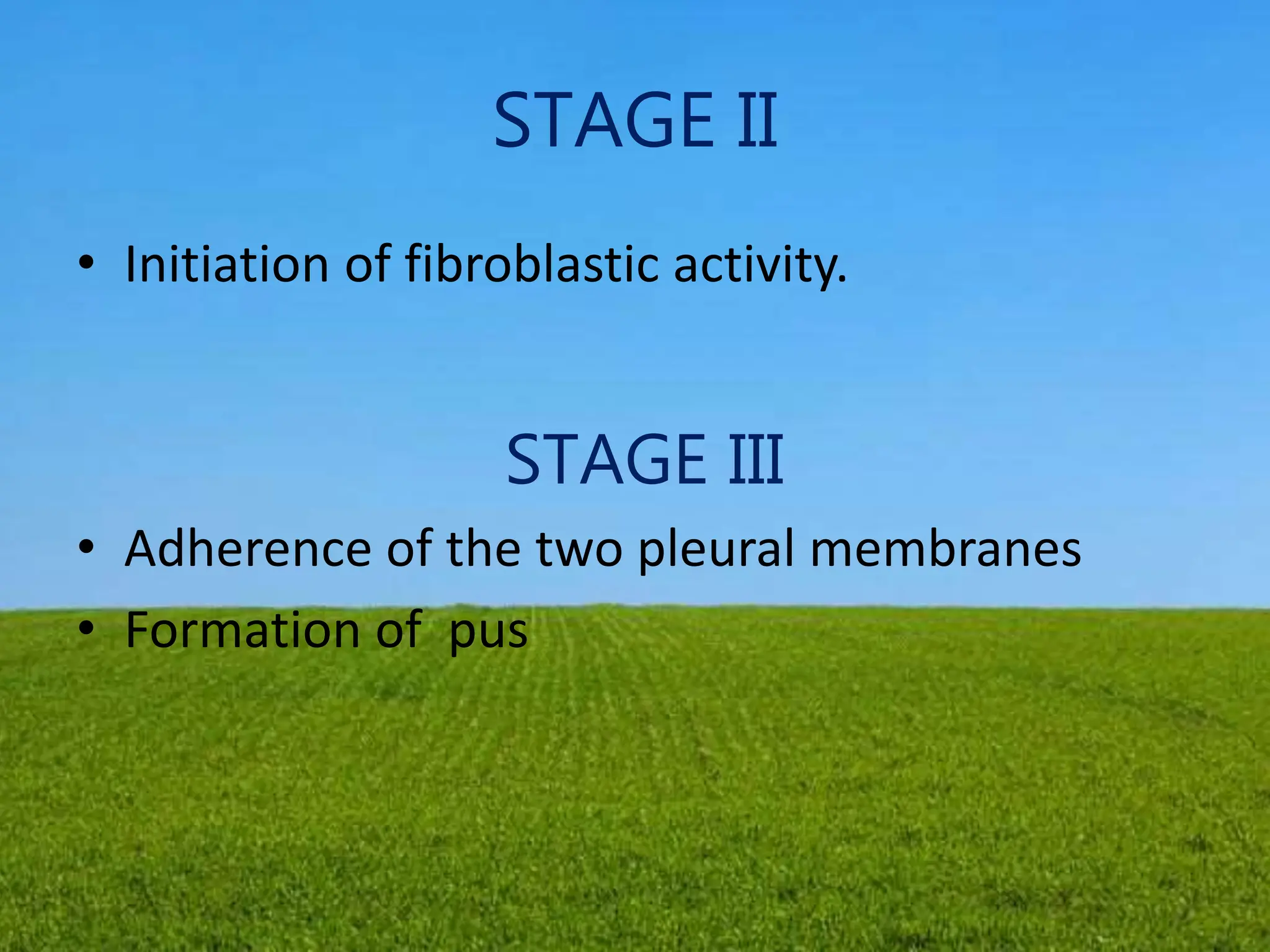 STAGE II
• Initiation of fibroblastic activity.
STAGE III
• Adherence of the two pleural membranes
• Formation of pus
 