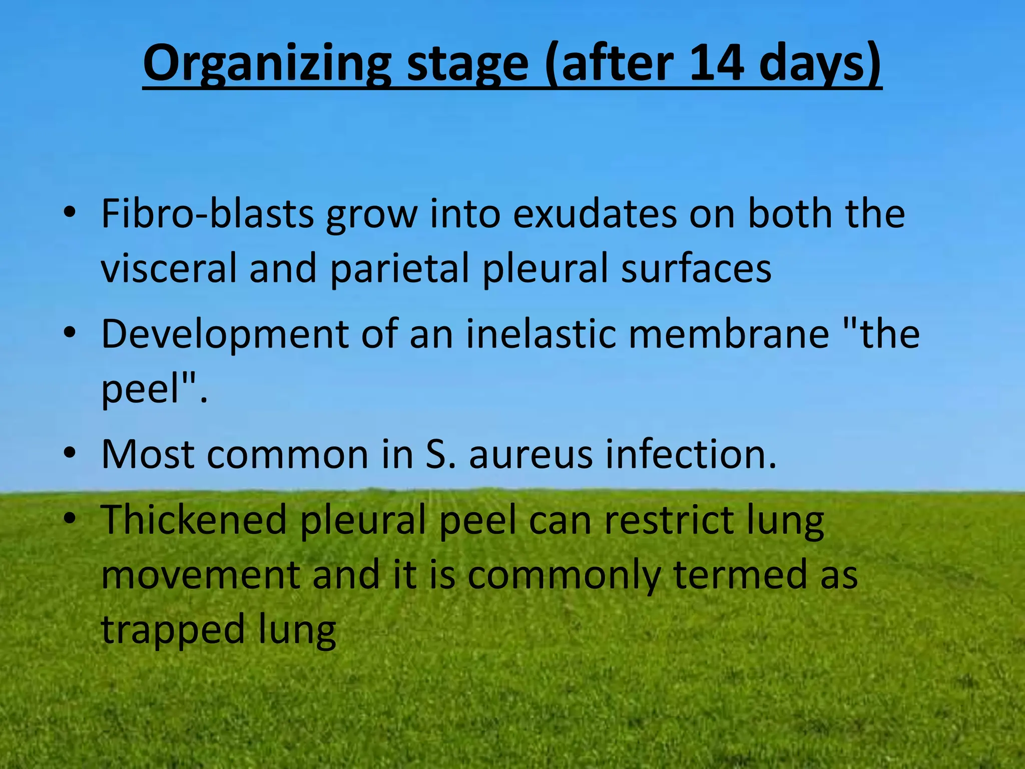 Organizing stage (after 14 days)
• Fibro-blasts grow into exudates on both the
visceral and parietal pleural surfaces
• Development of an inelastic membrane "the
peel".
• Most common in S. aureus infection.
• Thickened pleural peel can restrict lung
movement and it is commonly termed as
trapped lung
 