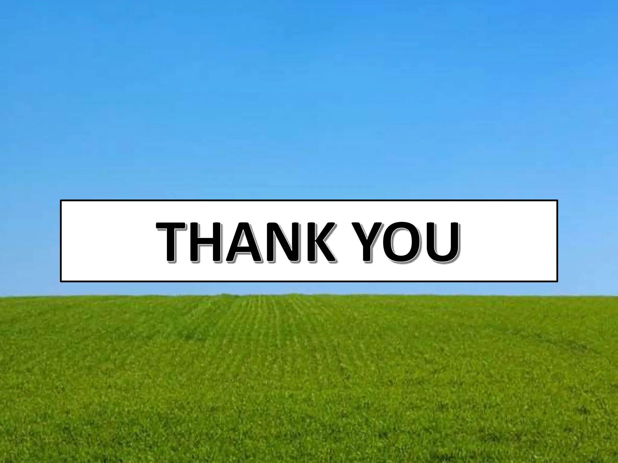 nursing management of patient with Empyema ppt