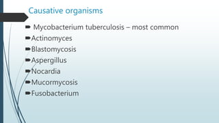 Causative organisms
 Mycobacterium tuberculosis – most common
Actinomyces
Blastomycosis
Aspergillus
Nocardia
Mucormycosis
Fusobacterium
 
