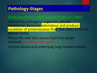 Pathology-Stages
 