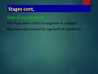 Stages cont,
 Stage of vascularization:
 Fibrinous layers starts to organize as collagen.
 Becomes vascularized by ingrowth of capillaries.
 