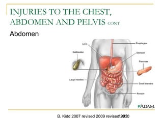 B. Kidd 2007 revised 2009 revised 20101002
INJURIES TO THE CHEST,
ABDOMEN AND PELVIS CONT
Abdomen
 