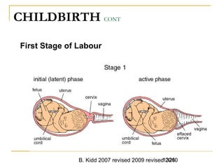 B. Kidd 2007 revised 2009 revised 20101326
CHILDBIRTH CONT
First Stage of Labour
 