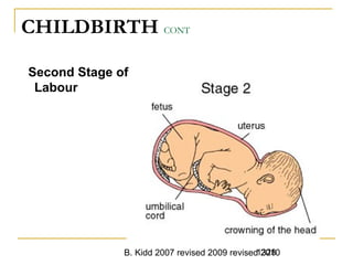 B. Kidd 2007 revised 2009 revised 20101328
CHILDBIRTH CONT
Second Stage of
Labour
 