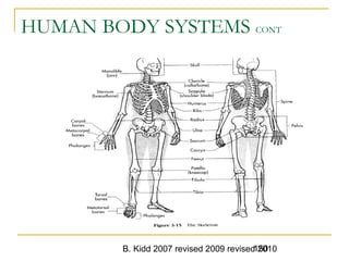 B. Kidd 2007 revised 2009 revised 2010150
HUMAN BODY SYSTEMS CONT
 