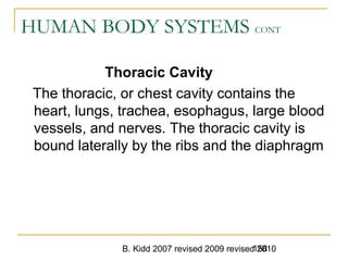 B. Kidd 2007 revised 2009 revised 2010158
HUMAN BODY SYSTEMS CONT
Thoracic Cavity
The thoracic, or chest cavity contains the
heart, lungs, trachea, esophagus, large blood
vessels, and nerves. The thoracic cavity is
bound laterally by the ribs and the diaphragm
 