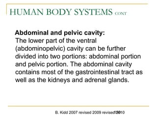 B. Kidd 2007 revised 2009 revised 2010159
HUMAN BODY SYSTEMS CONT
Abdominal and pelvic cavity:
The lower part of the ventral
(abdominopelvic) cavity can be further
divided into two portions: abdominal portion
and pelvic portion. The abdominal cavity
contains most of the gastrointestinal tract as
well as the kidneys and adrenal glands.
 