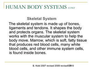 B. Kidd 2007 revised 2009 revised 2010175
HUMAN BODY SYSTEMS CONT
Skeletal System
The skeletal system is made up of bones,
ligaments and tendons. It shapes the body
and protects organs. The skeletal system
works with the muscular system to help the
body move. Marrow, which is soft, fatty tissue
that produces red blood cells, many white
blood cells, and other immune system cells,
is found inside bones.
 