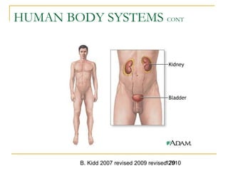 B. Kidd 2007 revised 2009 revised 2010179
HUMAN BODY SYSTEMS CONT
 