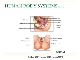 B. Kidd 2007 revised 2009 revised 2010181
HUMAN BODY SYSTEMS CONT
 