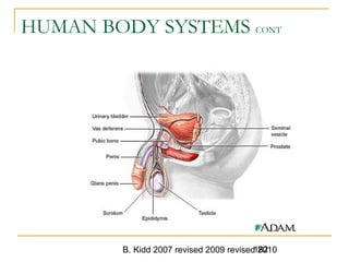 B. Kidd 2007 revised 2009 revised 2010182
HUMAN BODY SYSTEMS CONT
 