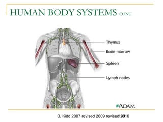 B. Kidd 2007 revised 2009 revised 2010189
HUMAN BODY SYSTEMS CONT
 