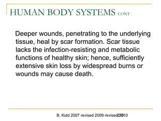 B. Kidd 2007 revised 2009 revised 2010210
HUMAN BODY SYSTEMS CONT
Deeper wounds, penetrating to the underlying
tissue, heal by scar formation. Scar tissue
lacks the infection-resisting and metabolic
functions of healthy skin; hence, sufficiently
extensive skin loss by widespread burns or
wounds may cause death.
 