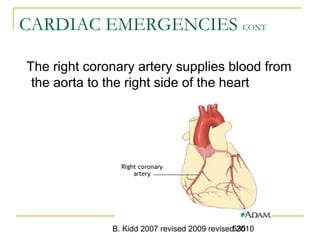 B. Kidd 2007 revised 2009 revised 2010535
CARDIAC EMERGENCIES CONT
The right coronary artery supplies blood from
the aorta to the right side of the heart
 