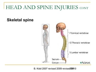 B. Kidd 2007 revised 2009 revised 2010959
HEAD AND SPINE INJURIES CONT
Skeletal spine
 