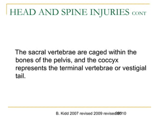 B. Kidd 2007 revised 2009 revised 2010961
HEAD AND SPINE INJURIES CONT
The sacral vertebrae are caged within the
bones of the pelvis, and the coccyx
represents the terminal vertebrae or vestigial
tail.
 