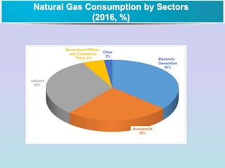 Natural Gas Consumption by Sectors
(2016, %)
 