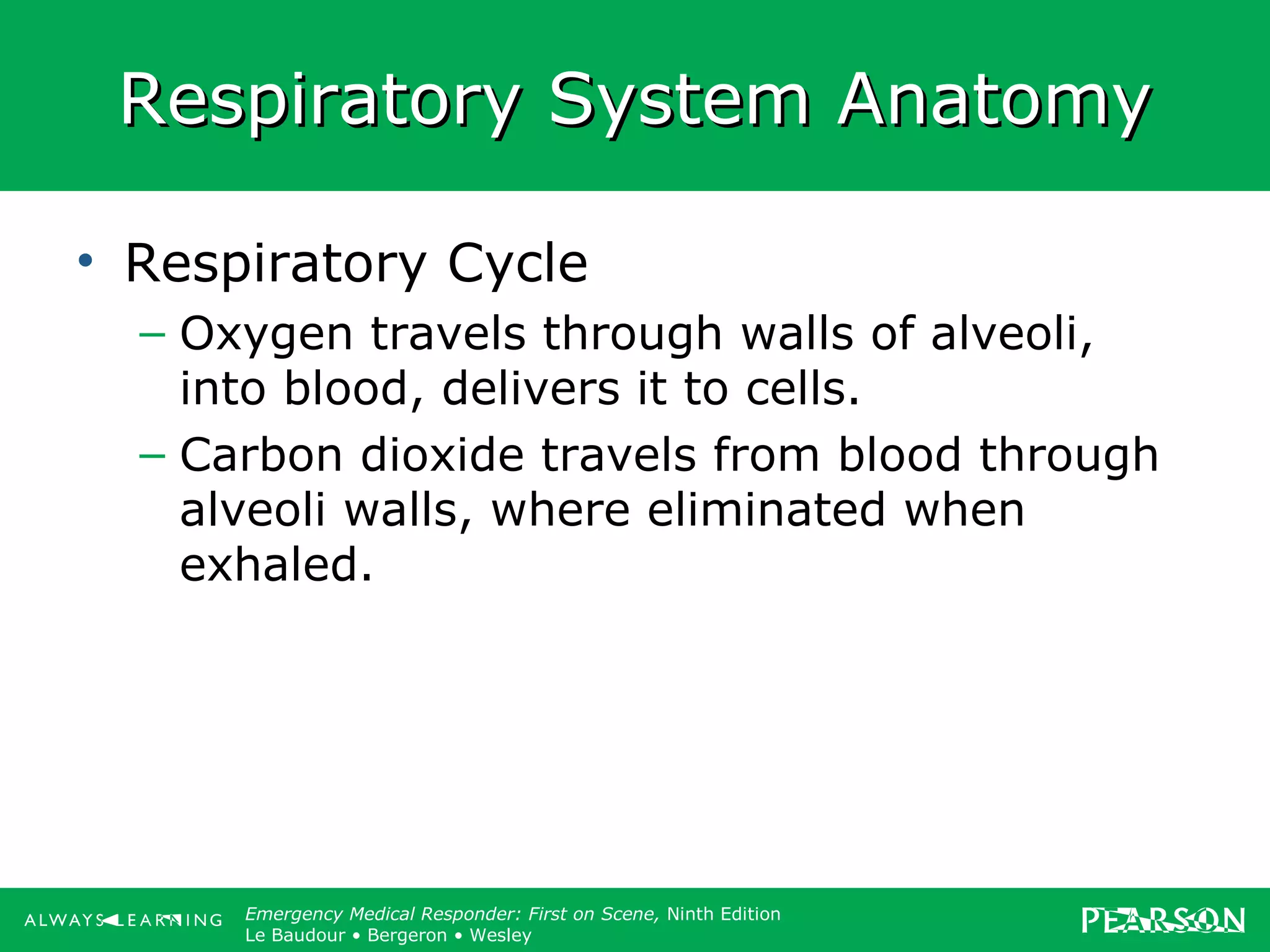 Copyright ©2012 by Pearson Education, Inc.
All rights reserved.
Emergency Care, Twelfth Edition
Daniel J. Limmer • O’Keefe • Grant • Murray • Bergeron • Dickinson
Emergency Medical Responder: First on Scene, Ninth Edition
Le Baudour • Bergeron • Wesley
Respiratory System AnatomyRespiratory System Anatomy
• Respiratory Cycle
– Oxygen travels through walls of alveoli,
into blood, delivers it to cells.
– Carbon dioxide travels from blood through
alveoli walls, where eliminated when
exhaled.
 