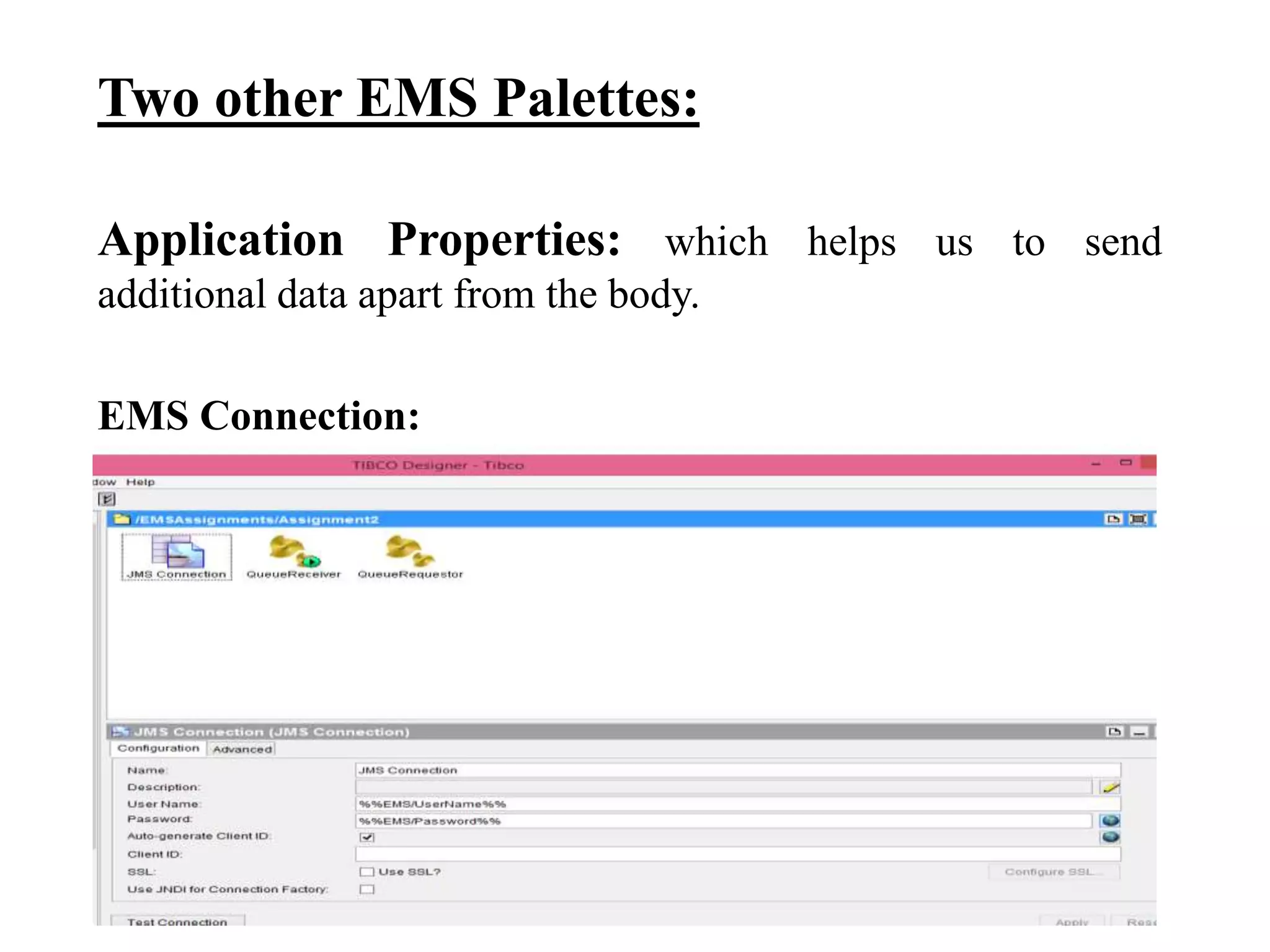 Two other EMS Palettes:
Application Properties: which helps us to send
additional data apart from the body.
EMS Connection:
 