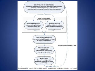 Environmental Management Systems | PPTX