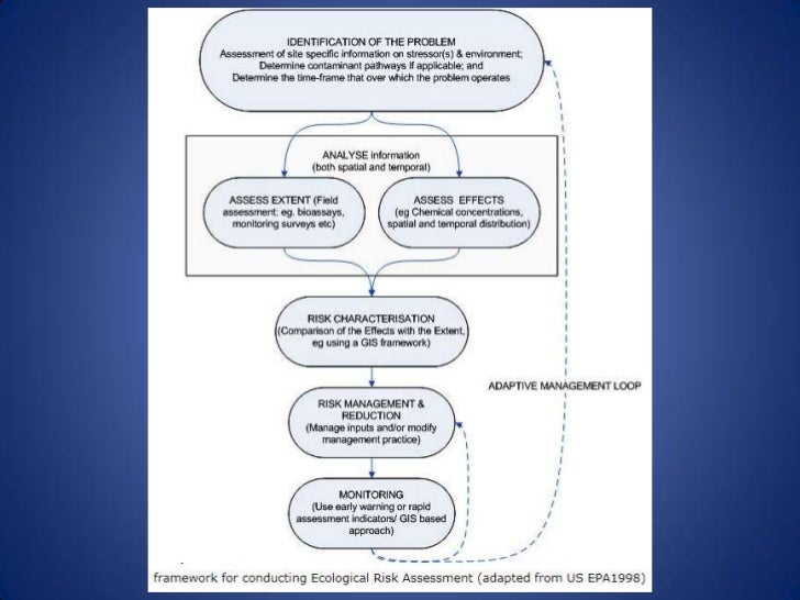 Environmental Management Systems