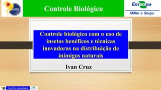 Controle biológico com o uso de
insetos benéficos e técnicas
inovadoras na distribuição de
inimigos naturais
Ivan Cruz
Controle Biológico
 